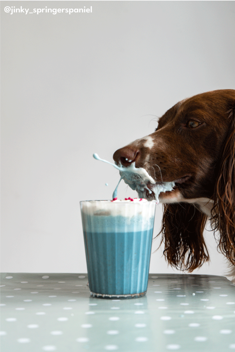 FREAKSHAKES
