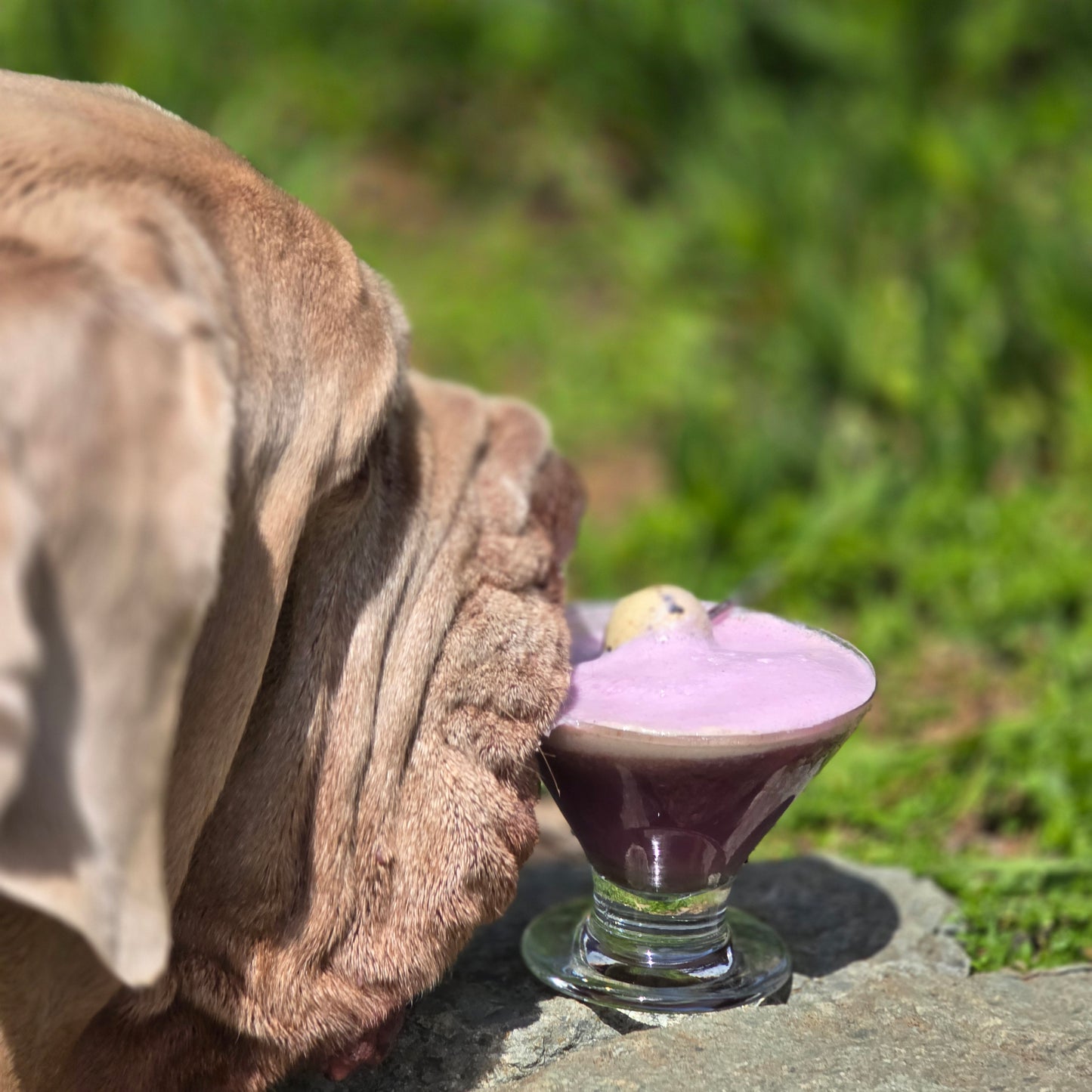 Purple Haze Freakshake
