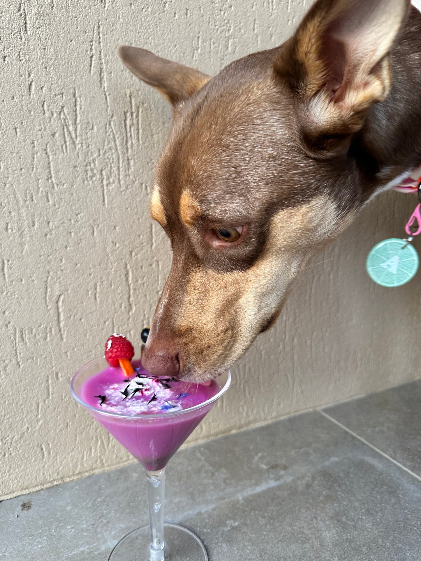 Purple Haze Freakshake