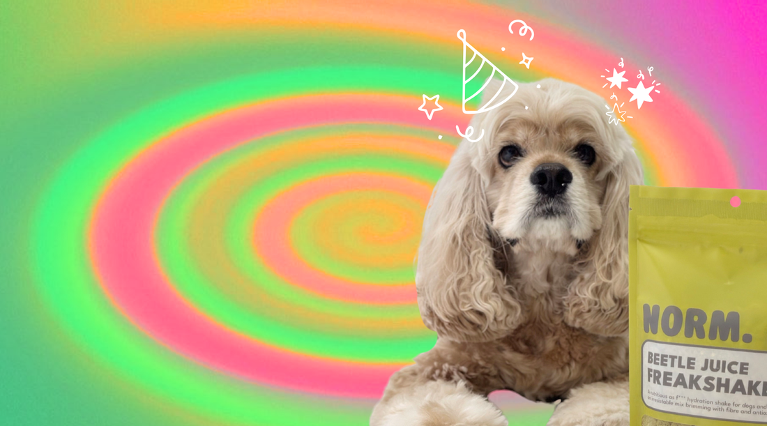 New year...new habits?!