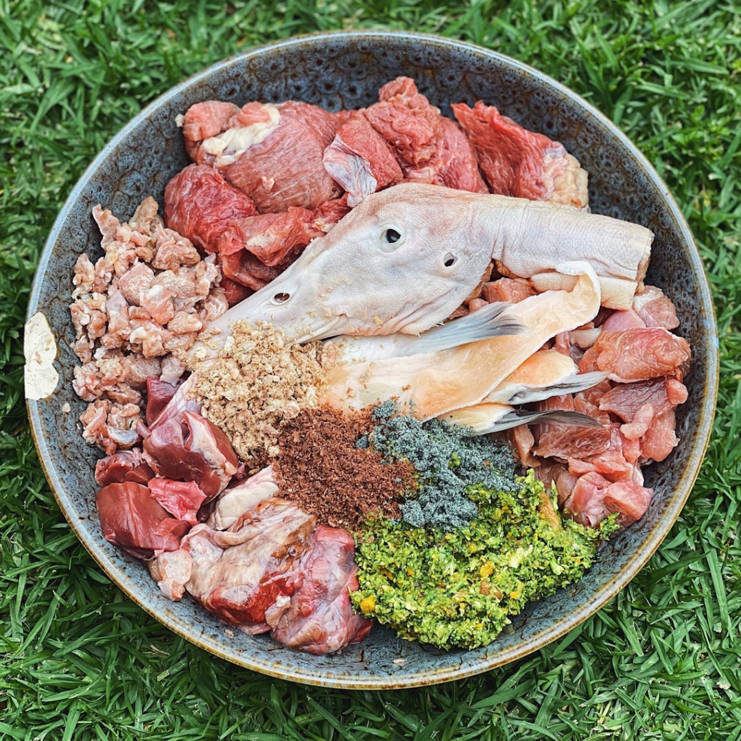 Raw dog food with NORM ox spleen