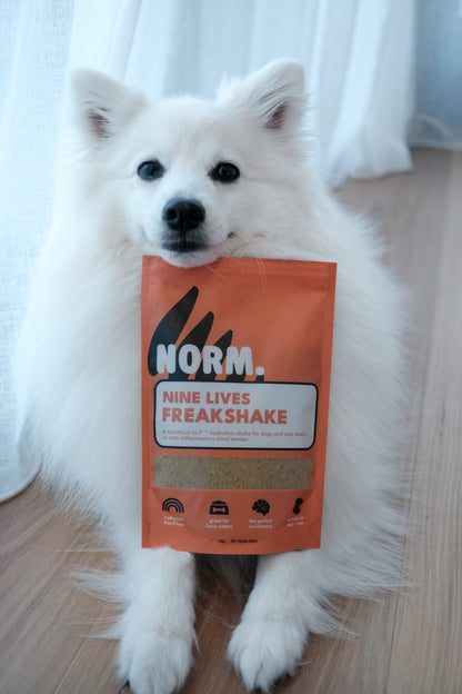 9 Lives Freakshake (2.0)